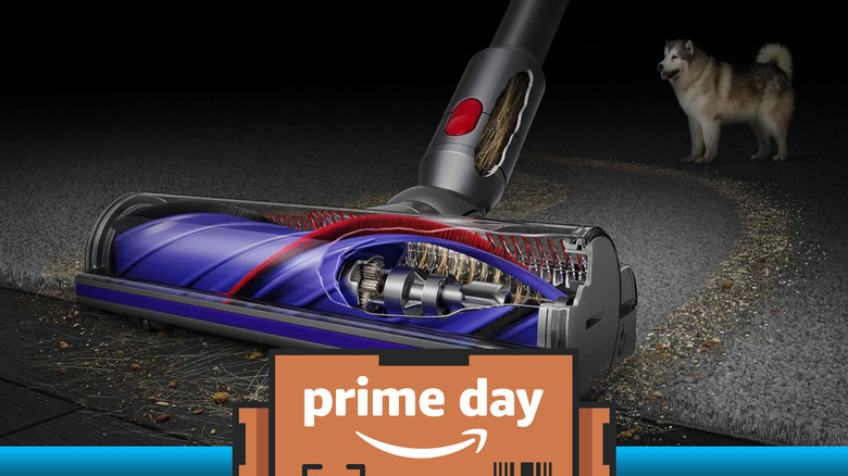 Dyson cordless vacuum