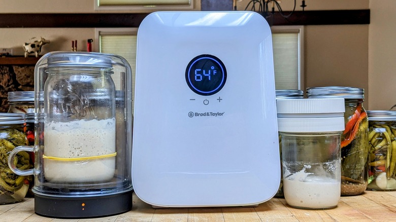 a collection of sourdough starter keepers