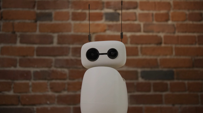 The video is now showing this cute little robot.