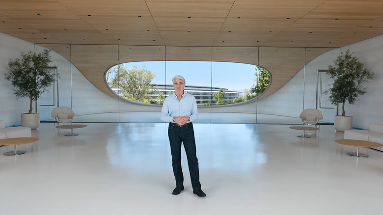 Craig Federighi, Senior Vice President, Software Engineering