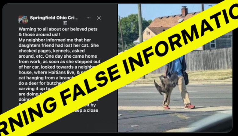 A post on X that started the false claim that Haitian immigrants were eating people's pets in Springfield, Ohio remain on Elon Musk's platform. 