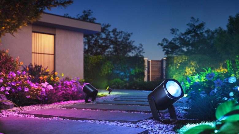 Govee Outdoor Spotlights illuminating landscaping along a walkway in a backyard.