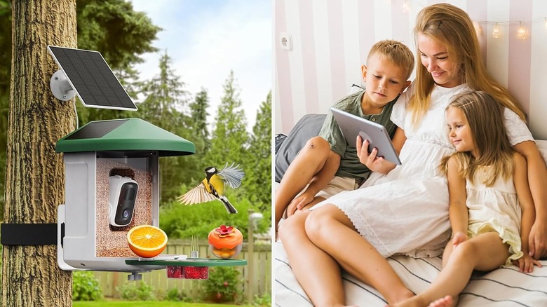 Family watching camera feed on the app for the HARYMOR Smart Bird Feeder.