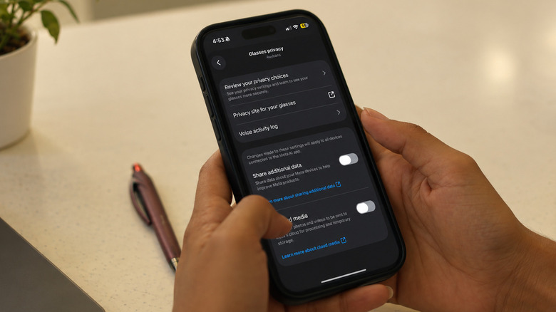 The Meta AI app's "Glasses privacy" screen showing "Share additional data" turned off.