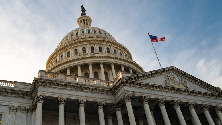 Photo of the Capitol in Washington DC, depicting the building at a sharp upward angle.