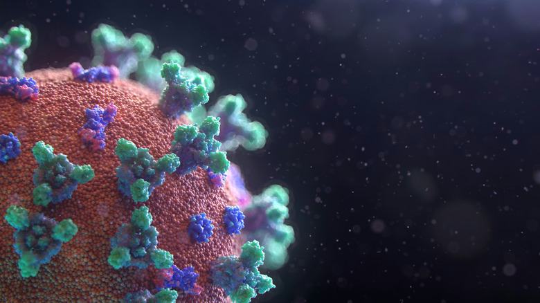 Graphical illustration of a virus