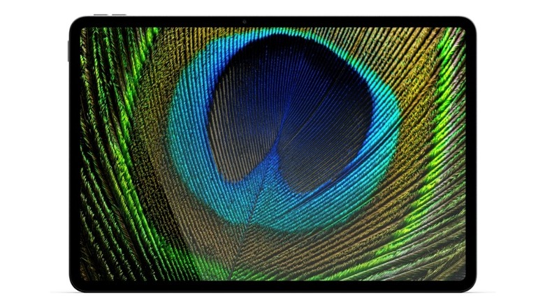 Image 2: An Alexa Tablet 12 Pro displaying a peacock feather.