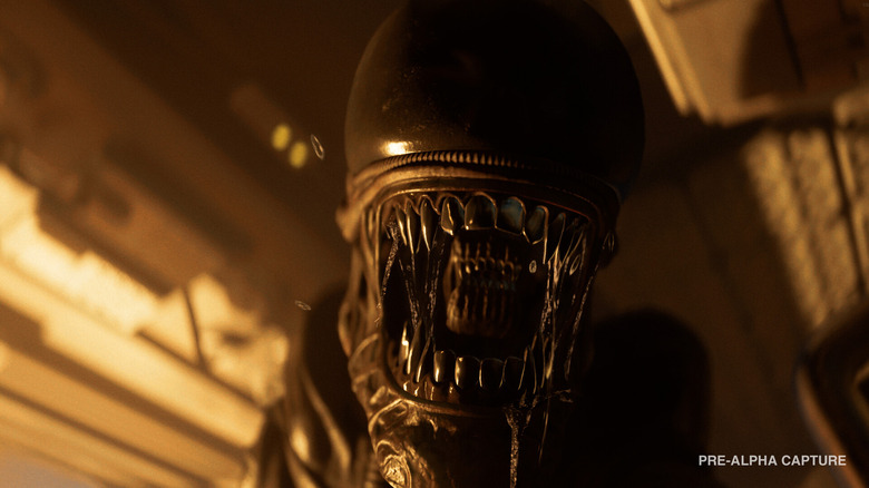  Isolation 2.