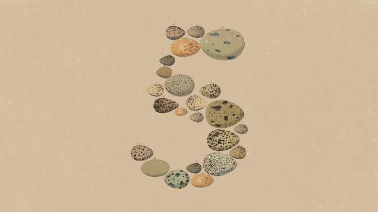 Key art for Anthropic's Opus 5 release. A group of pebbles are arranged to make the number 5.