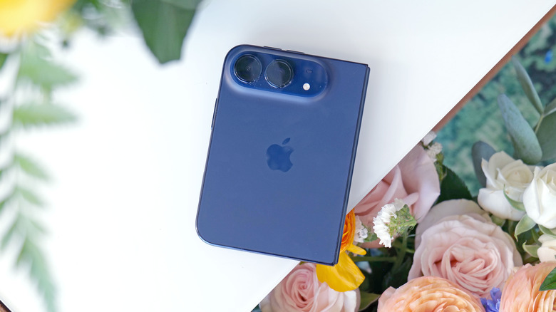 The back of the iPhone Duo.