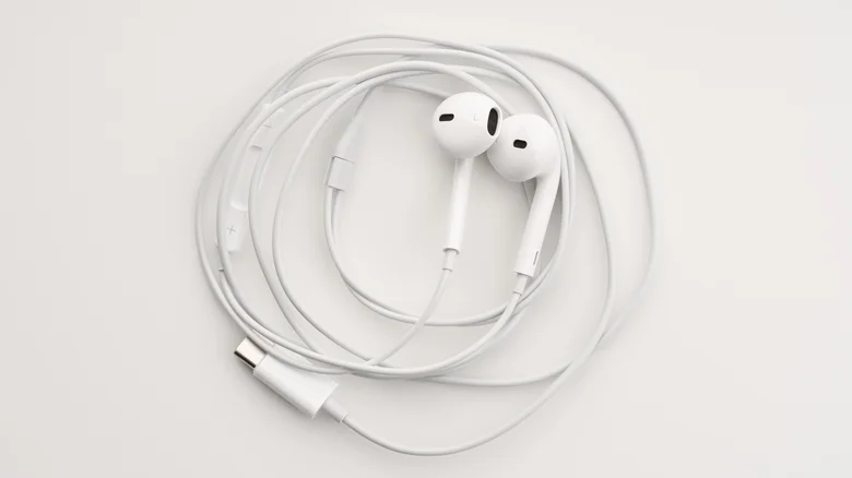 Apple's wired EarPods with a USB-C connector.