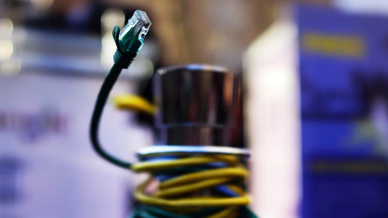 Prominent, close-up picture of the connector on an Ethernet cable with a blurred background.