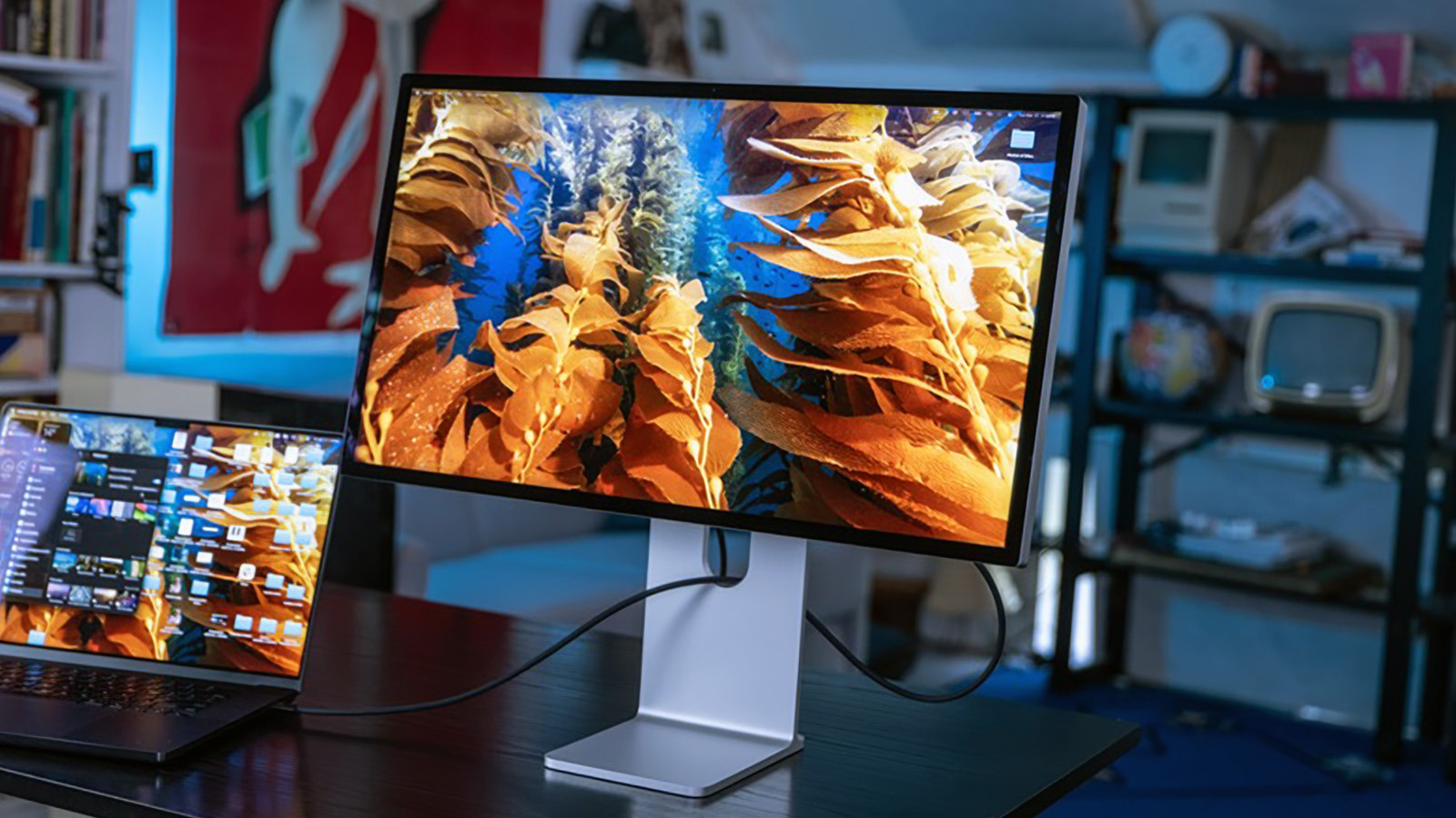 Can a MacBook run multiple external monitors? It depends