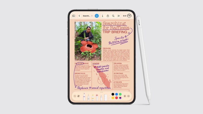Совместимость Apple Pencil с новым iPhone Duo iPhone Duo рядом с Apple Pencil