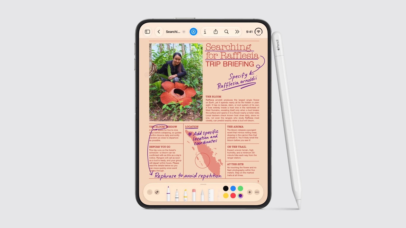 Can you use an Apple Pencil with an iPhone?