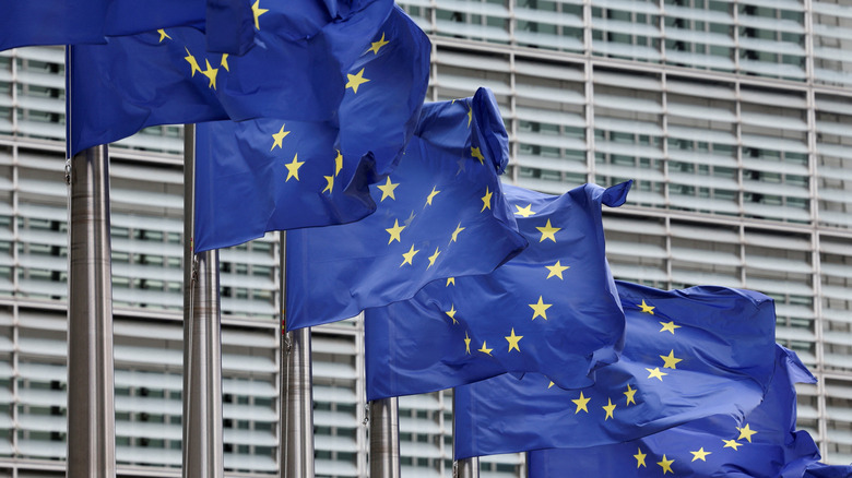 EU flags