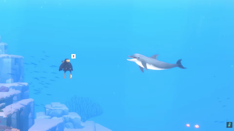 Dave encounters a dolphin.