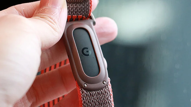 The Google logo on the Fitbit Air.