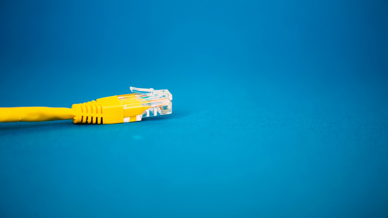 Closeup of a yellow ethernet cable on a blue surface