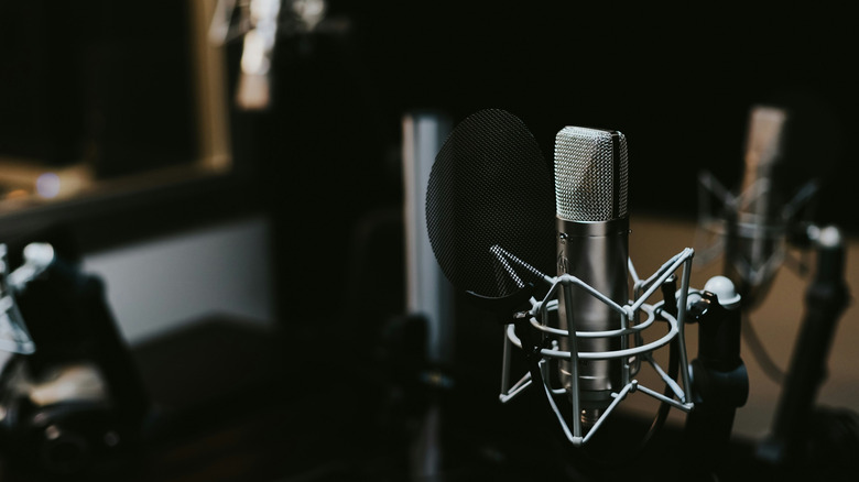 Macro photography of silver and black studio microphone condenser