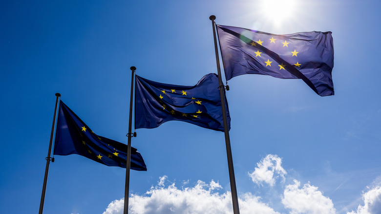 EU Flags