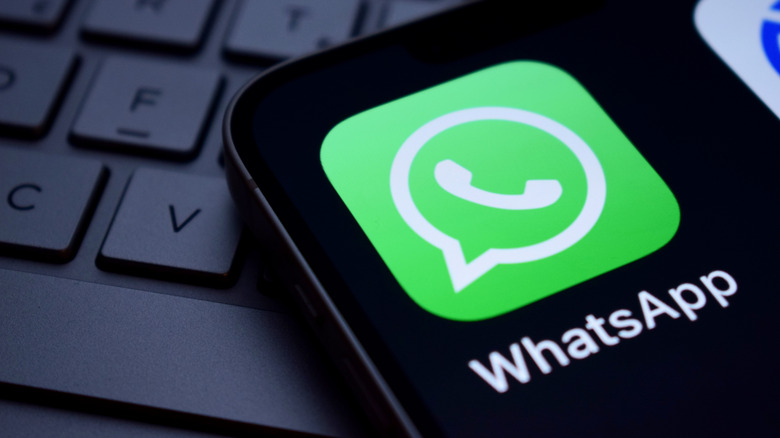 WhatsApp icon displayed on a phone.