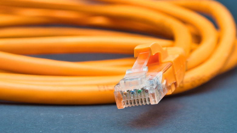 A snaking orange Ethernet cable.