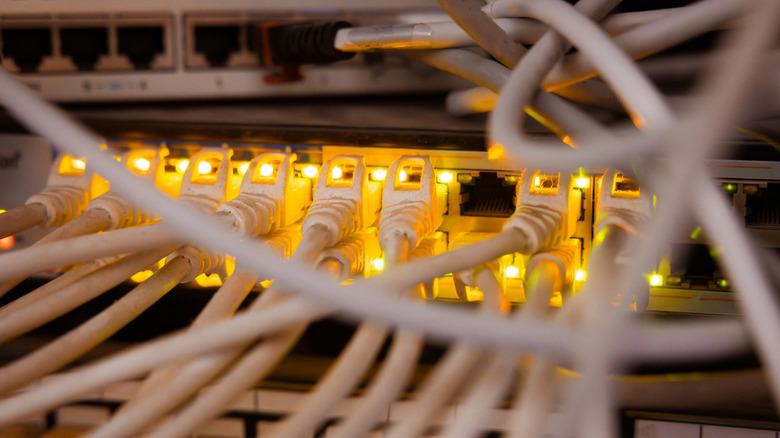 Ethernet cables connected to illuminated ports on a network switch.