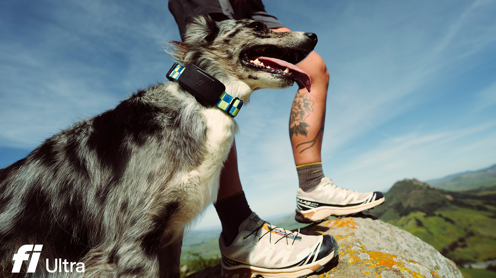 Fi Ultra pet tracker uses T-Mobile's Starlink satellite service for coverage