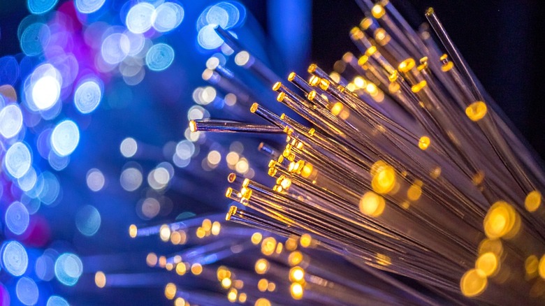 A closeup of a fiber-optic cable bundle.