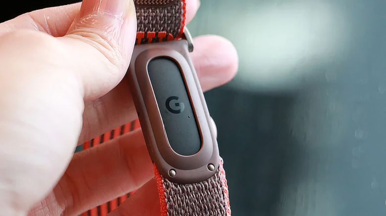 The back of the Fitbit Air.