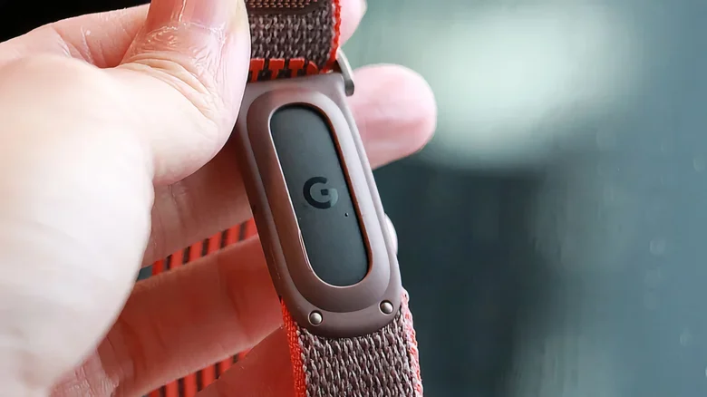 The back of the Fitbit Air.