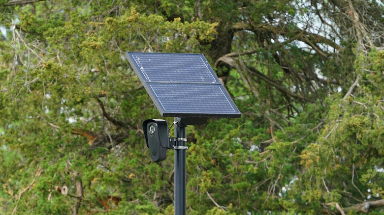 A Flock camera standing outside.