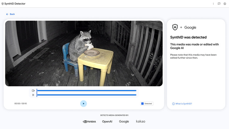 A raccoon sitting in a chair eating bread and a message saying 