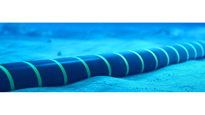Data cable sitting at the bottom of the ocean