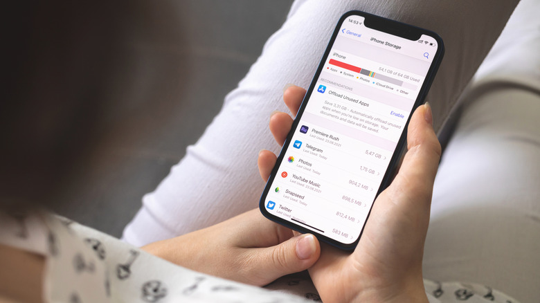 An iPhone showing the storage usage screen.