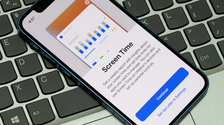 The Screen Time welcome screen on an iPhone.