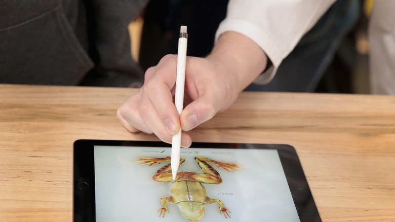Person drawing a frog with Apple Pencil.