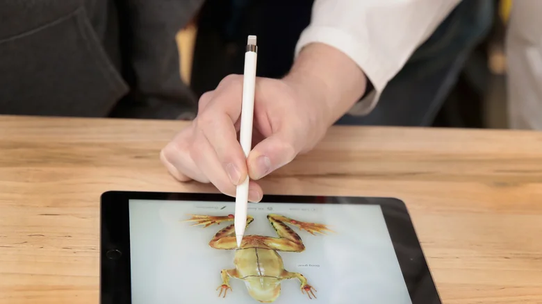 Person drawing a frog with Apple Pencil.