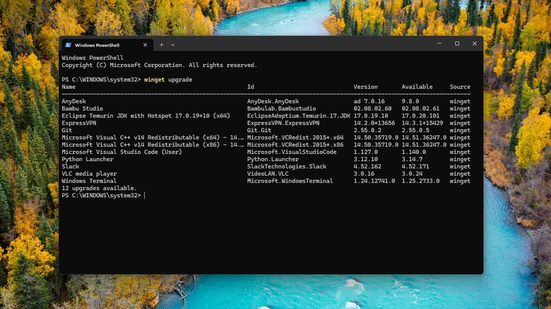 Windows PowerShell showing WinGet results with 12 app upgrades available.