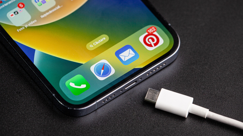 iPhone and a USB cable.