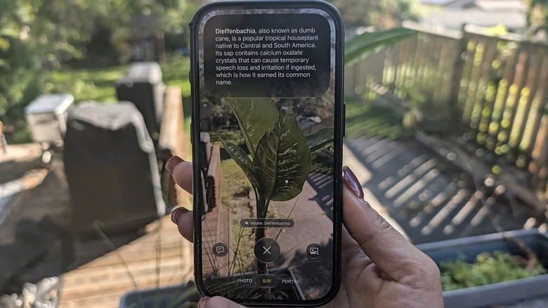 A hand holding up an iPhone to a plant and using Visual Intelligence to learn about it through the camera.