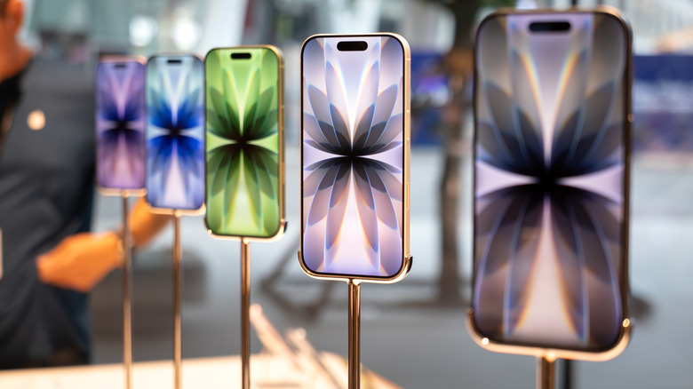 A lineup of iPhone 17s on display.