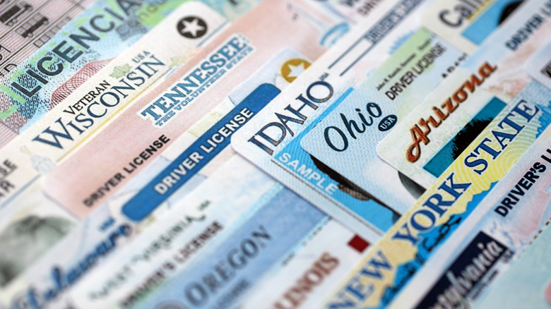 A stack of driver's licenses from different states.