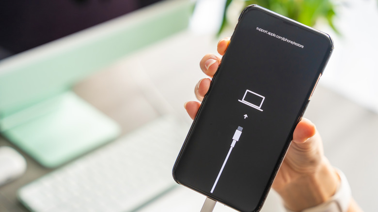 An iPhone in Recovery Mode, showing the icons to connect to a computer.