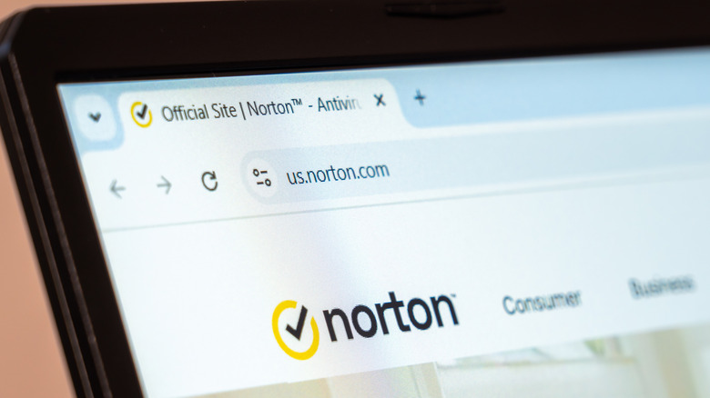 A close-up view of Norton's US website in a browser.