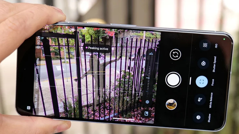 Camera interface of the Pixel 8.