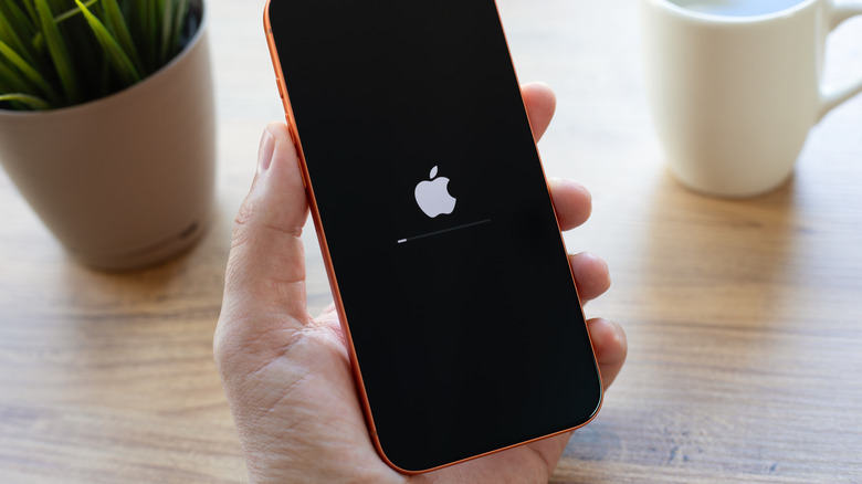 Apple iPhone 17 Pro shows Apple logo during startup