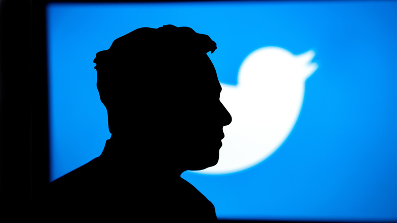 Photo of Elon Musk in silhouette in front of a lit Twitter logo.