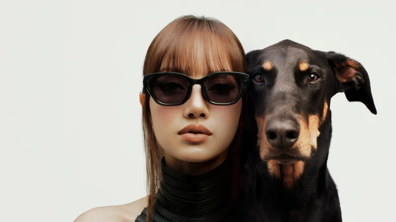 Meta Glasses expand globally